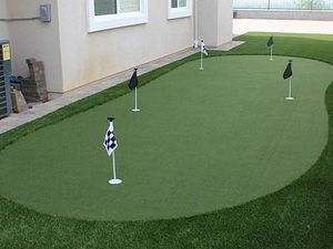 Artificial Grass