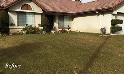 turf-before